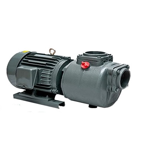 Bơm trục ngang APP SC 50 (3.7KW)