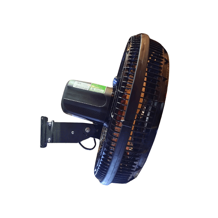 avan-asiavina-vy637892-02