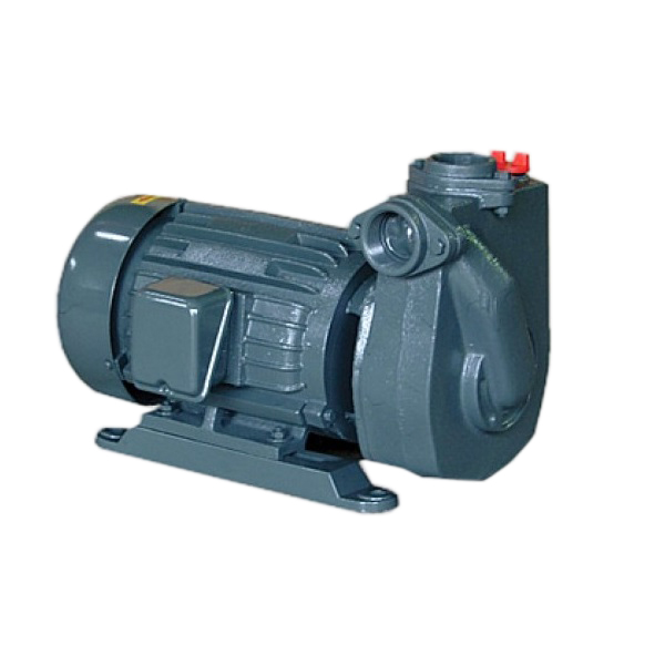 Bơm trục ngang APP HC 20 (1.5KW)