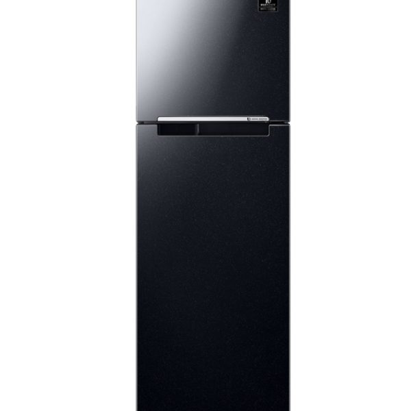 Tủ lạnh Samsung Inverter 256 lít RT25M4032BU