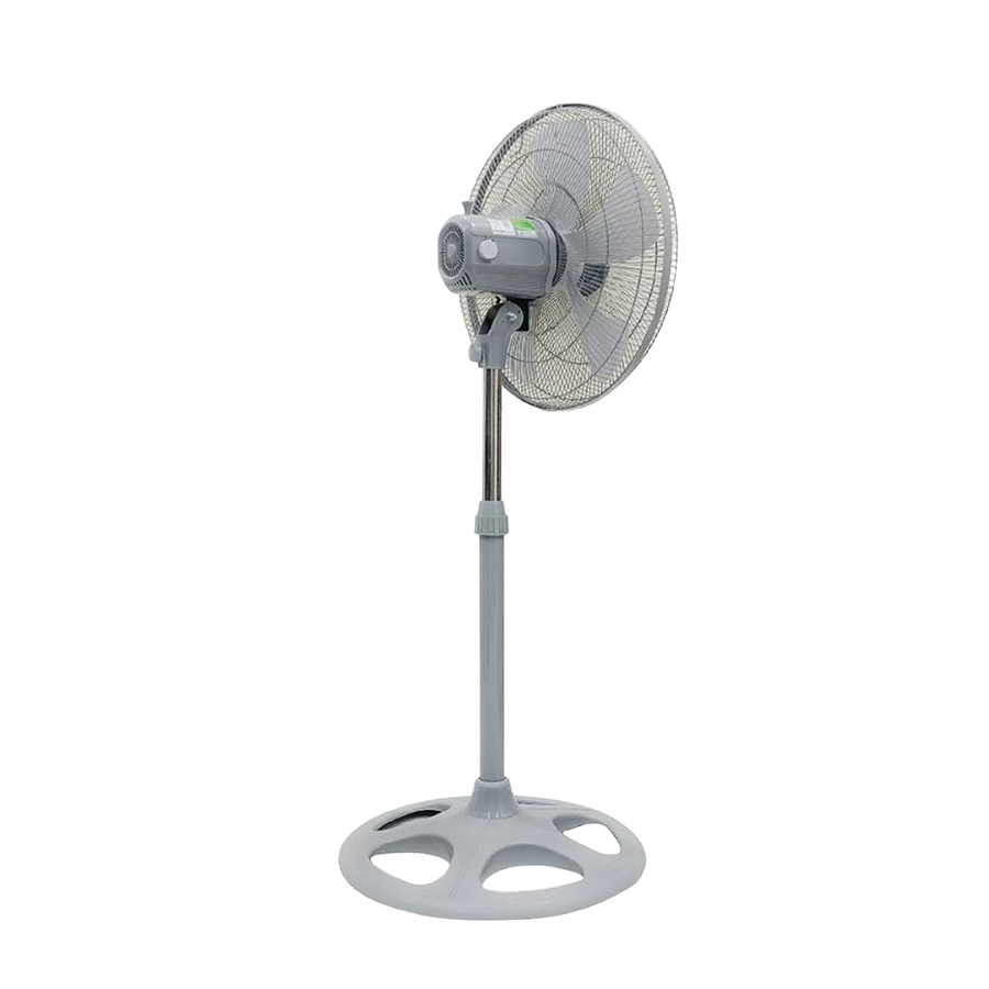 ava-asiavina-vy589790-05