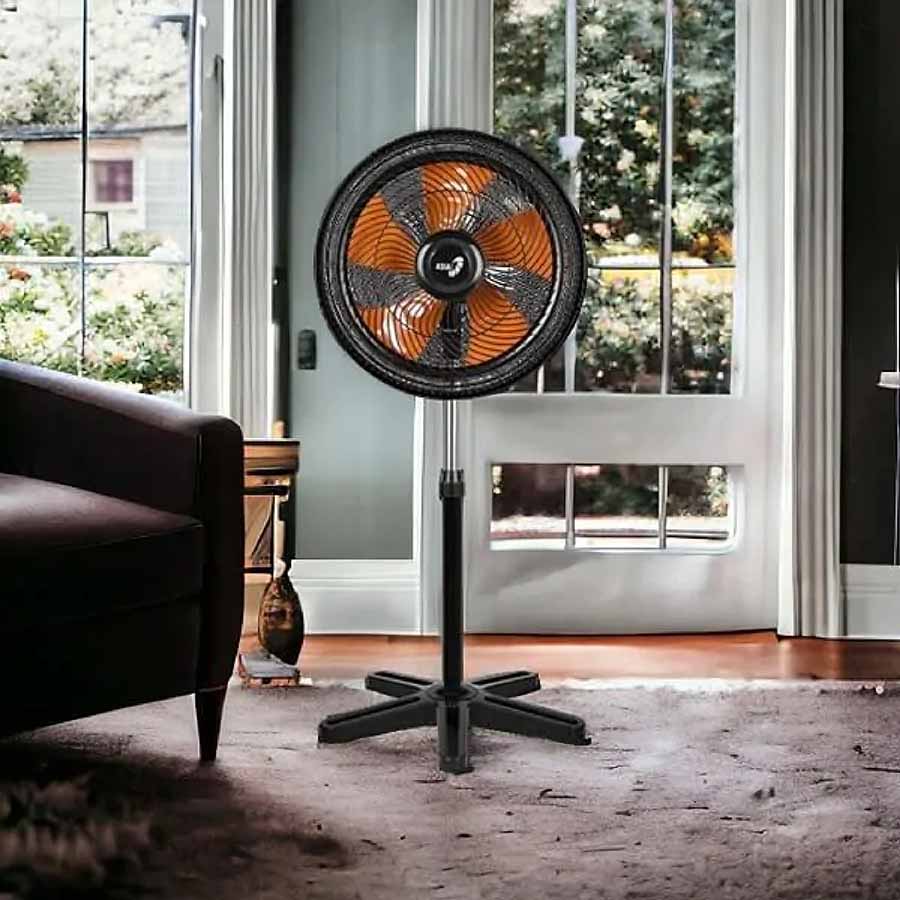 ava-asiavina-vy629890-03