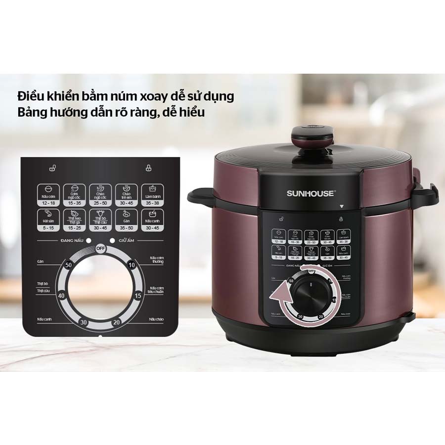 ava-noi-ap-suat-dien-da-nang-sunhouse-shd1657-3