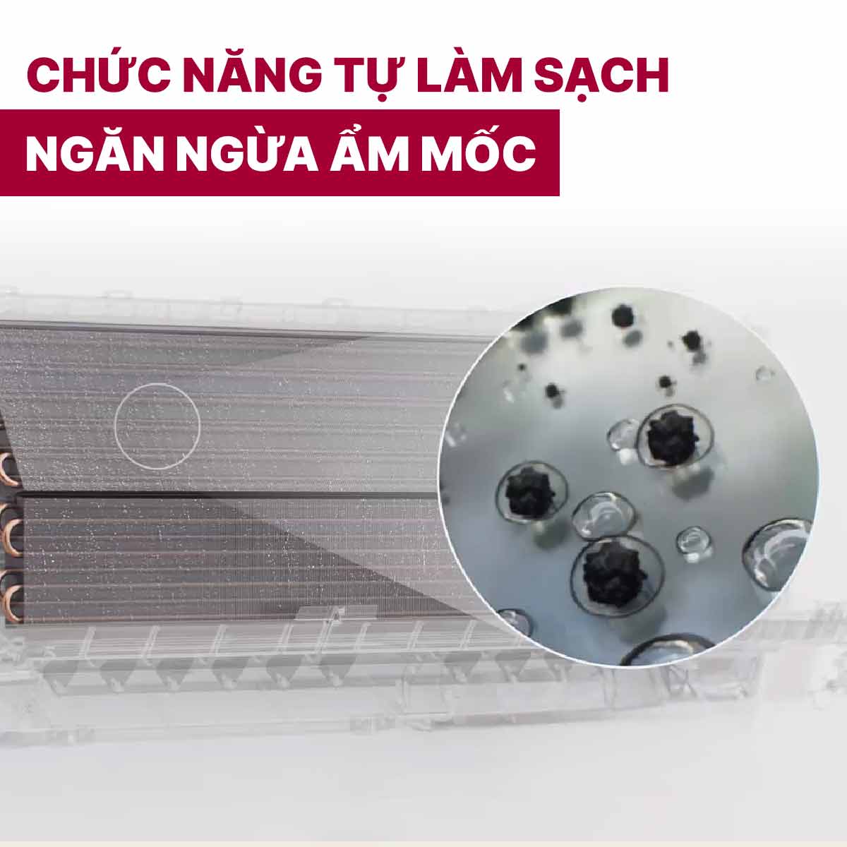 Điều Hòa 2 chiều LG Inverter 1 HP B10END1