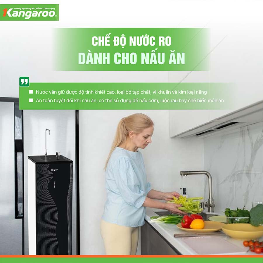 Máy lọc nước Kangaroo Hydrogen KG100HC3