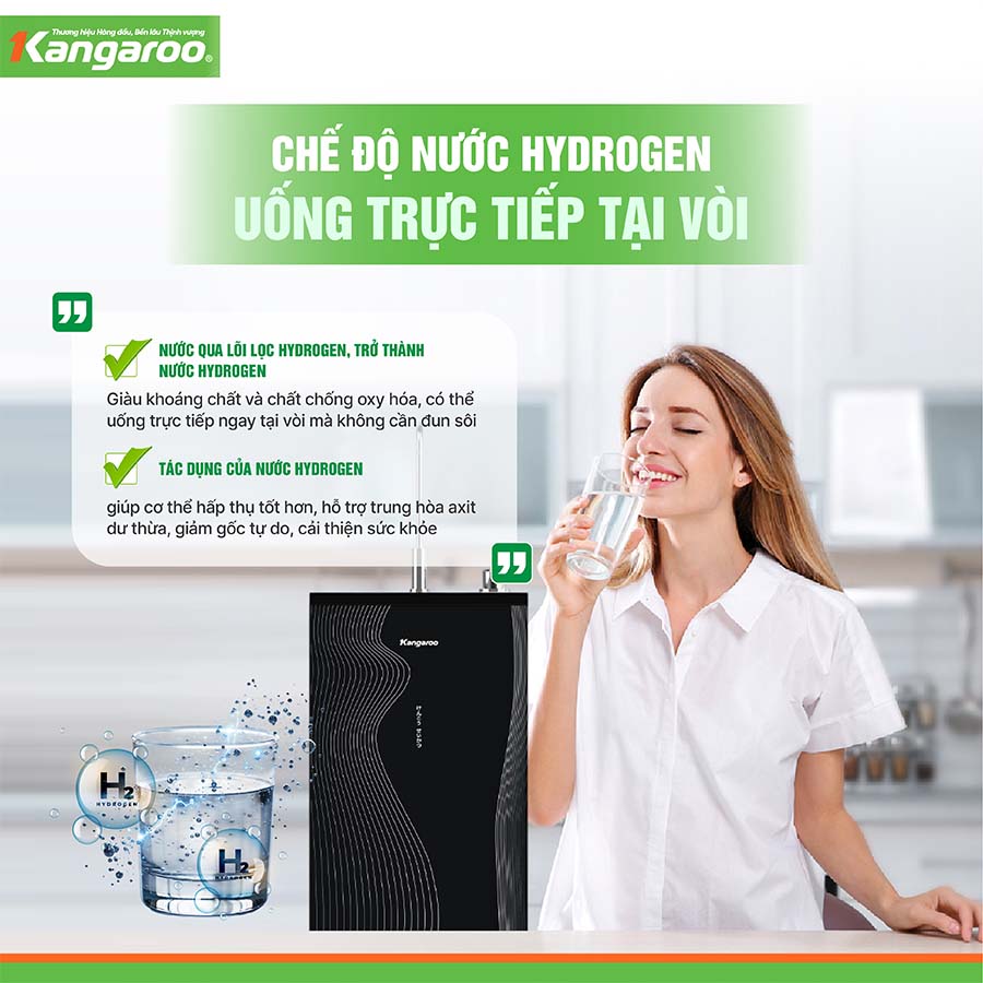 Máy lọc nước Kangaroo Hydrogen KG100HC3