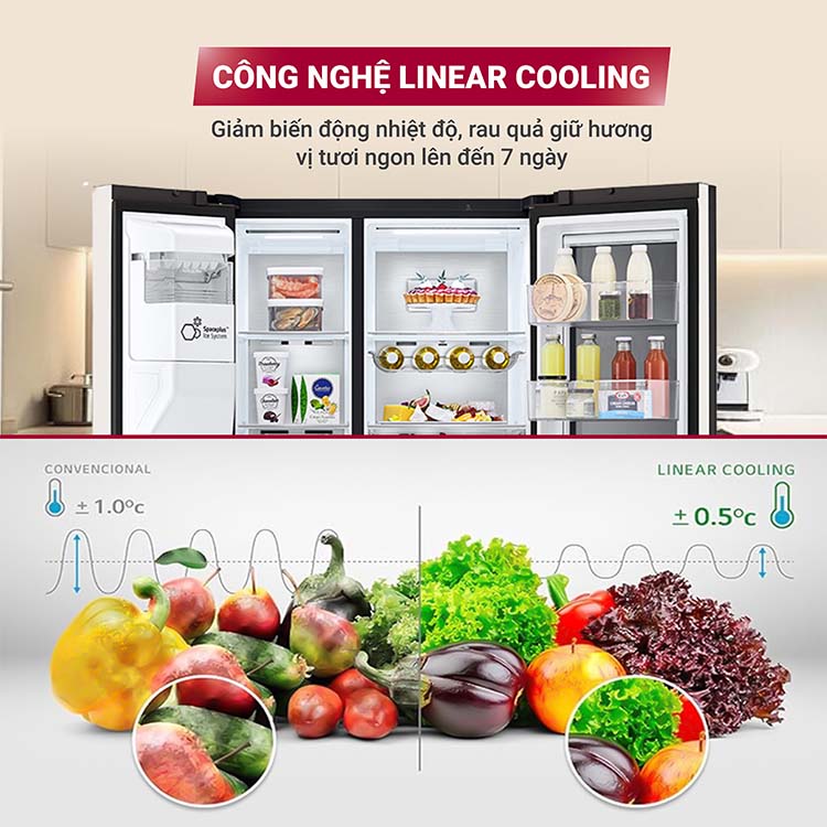 Tủ lạnh LG Inverter 635 lít GR-X257BG